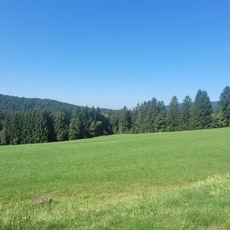 Anna Altreichenau * Neureichenau