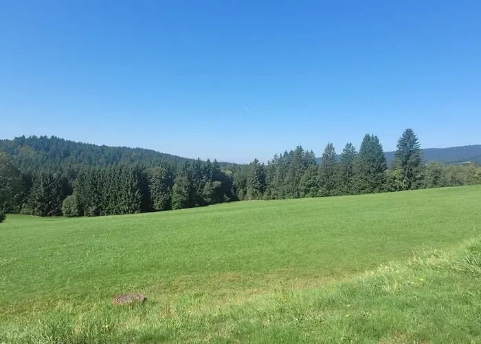 Anna Altreichenau * Neureichenau